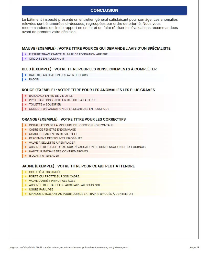 Capture de la vraie application SpecAI : Conclusion automatique